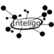 Inteligg P.C.