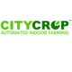 Citycrop